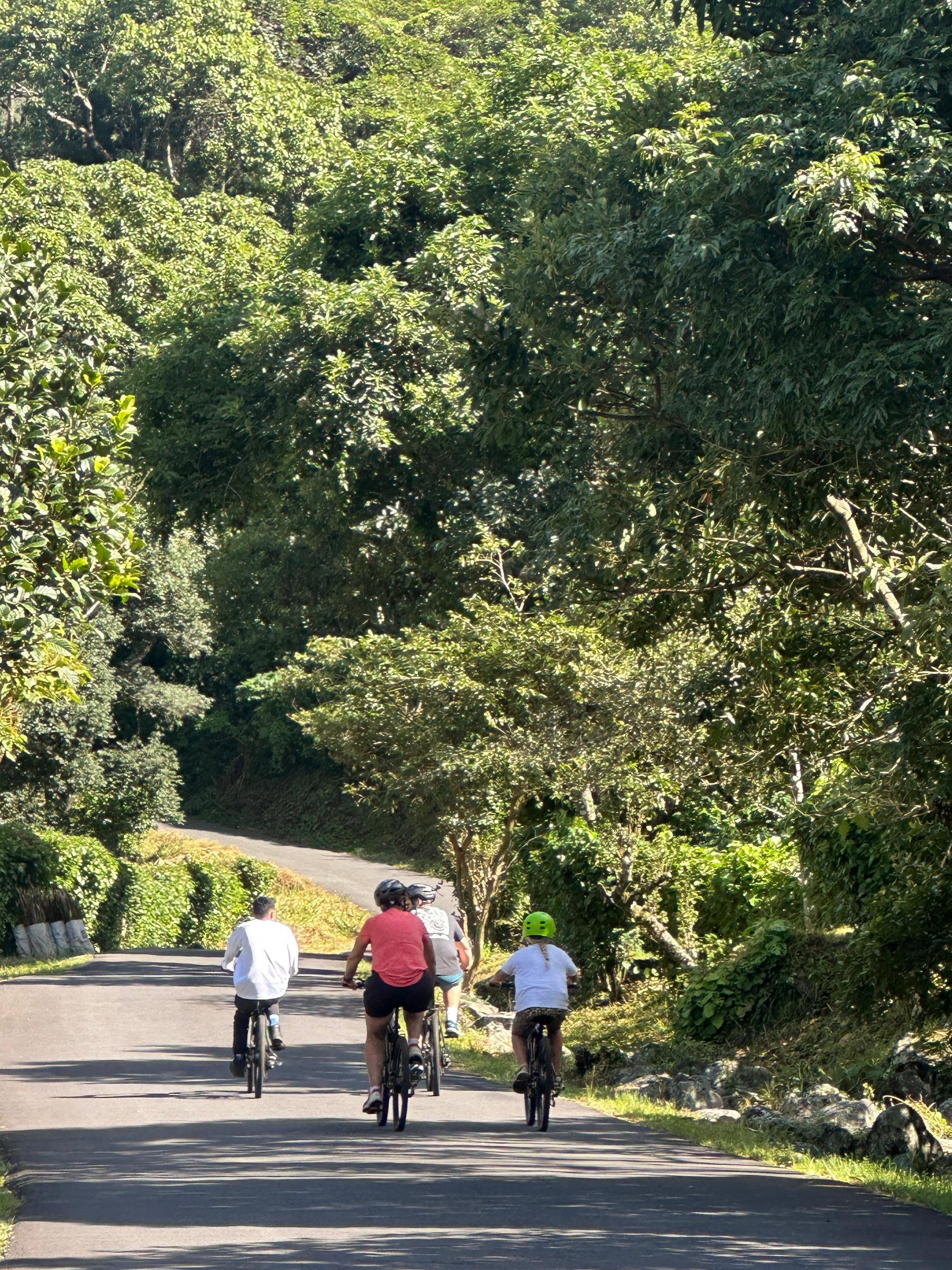 Ruta en bici