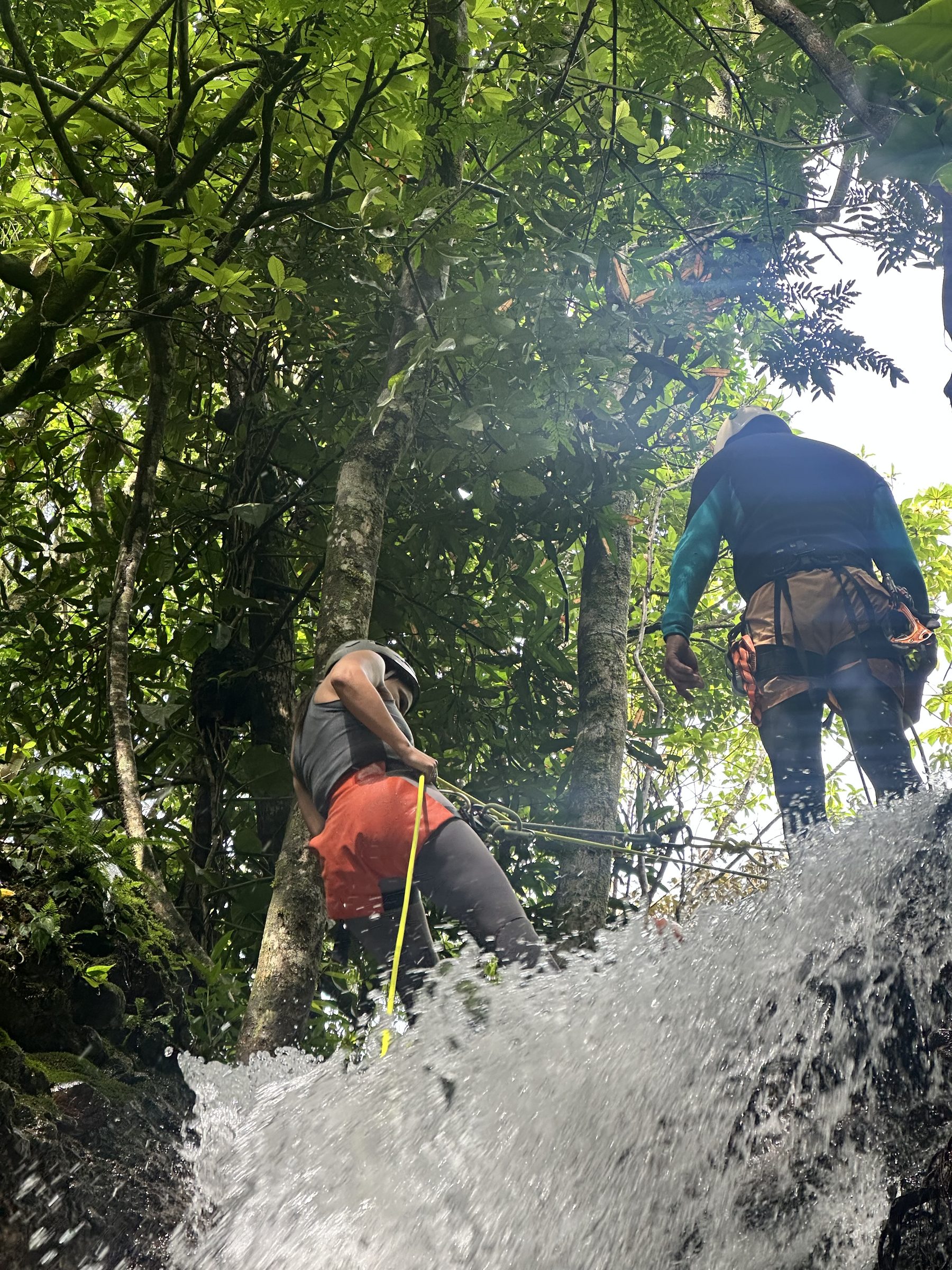 Rappel junto a cascada en cañón de Chiriquí